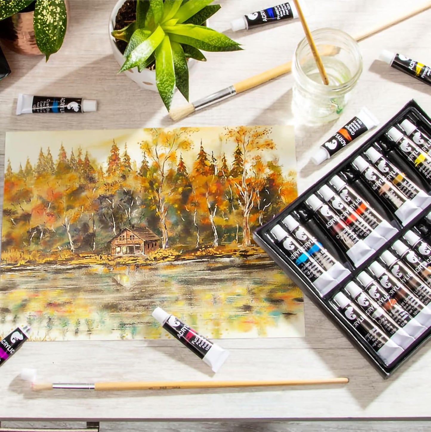 24 Acrylic Paint