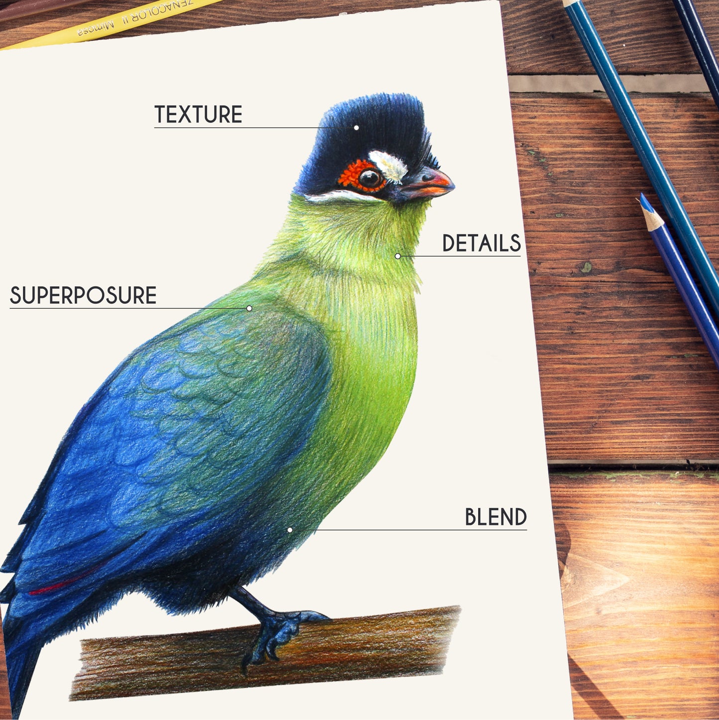 160 Colored Pencils