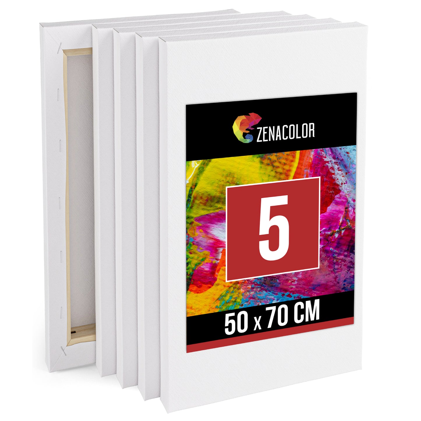 5 Leinwandfarben (20x20cm) 