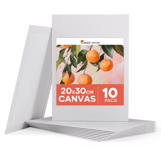 Set of 10 Canvas Board (20x30 cm)