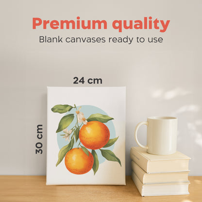 Set of 10 Canvas Board (24x30 cm)