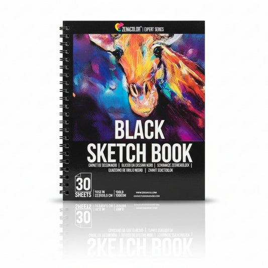 Black Sketchbook (Set of 2)